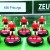 Zeugo 456 Freiburg